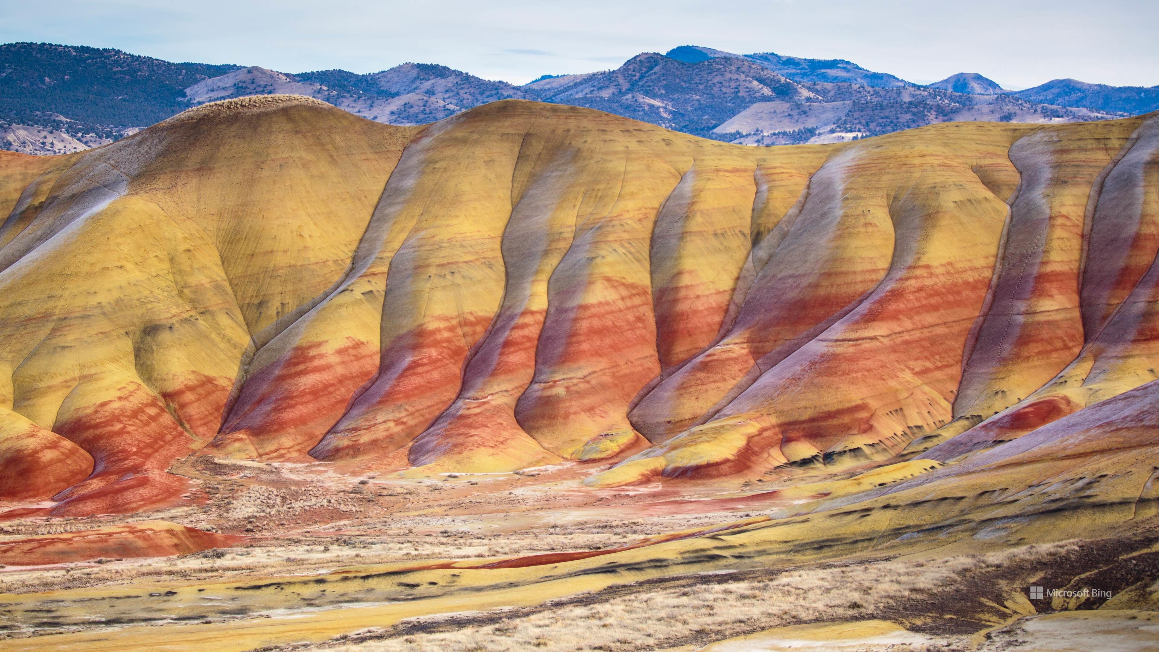 Winner Mangrove Millenium